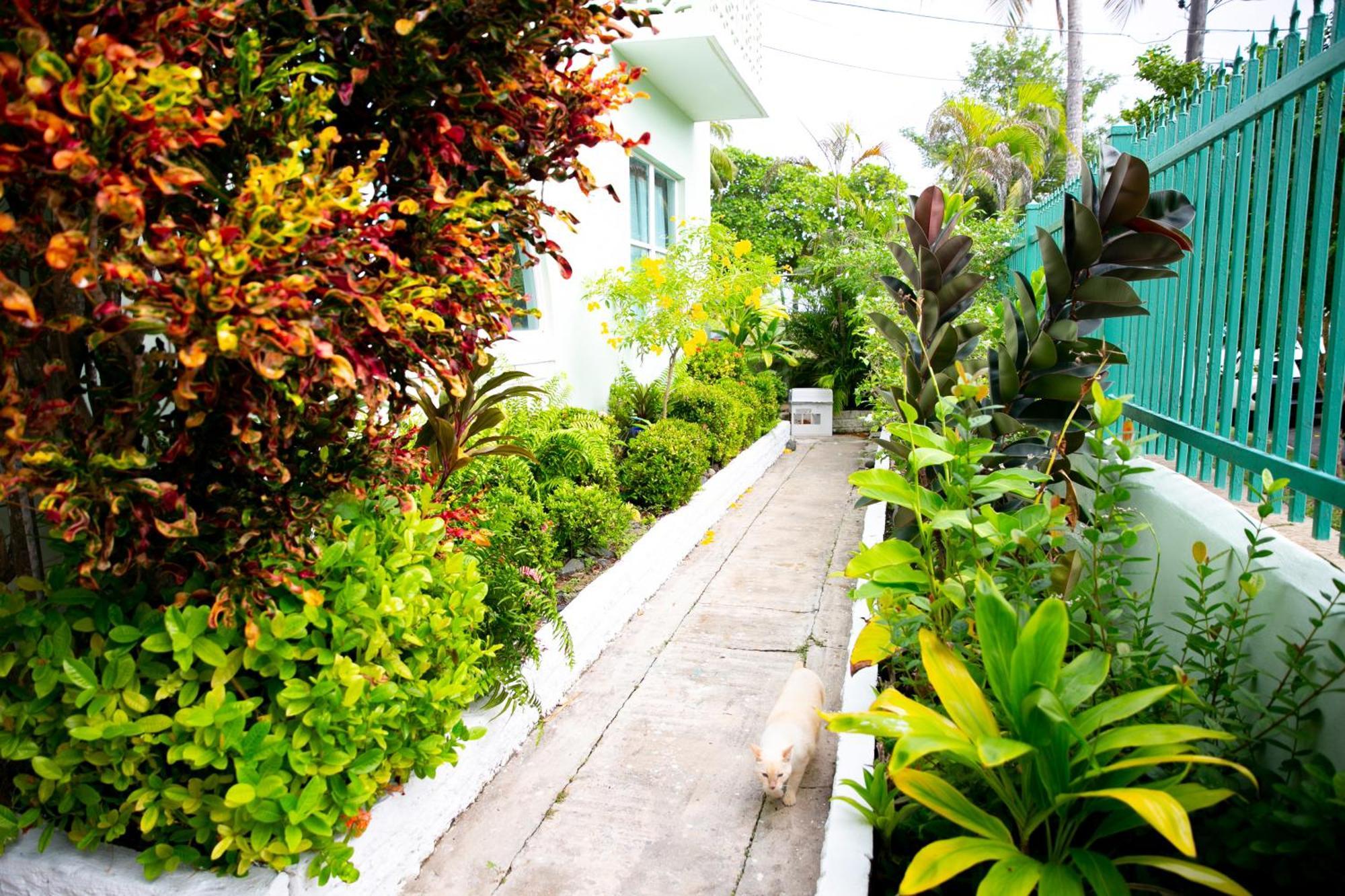 Numero Uno Beach Apartments San Juan Esterno foto